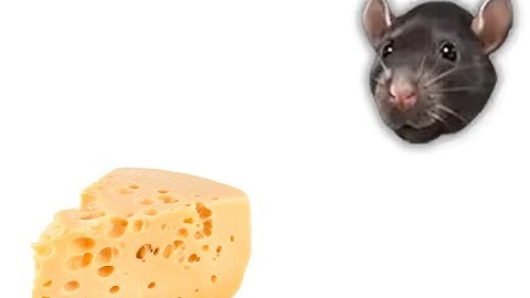 Least Obvious Siege Hacker