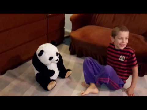 Игрушечная панда ебёт свою юную хозяйку Игрушечная панда ебёт свою юную хозяйку