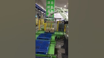 Robotic palletizer that grabs cartons one layer at a time 丨Techflow Pack Robot Palletizing System