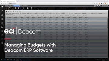 Managing Budgets with Deacom ERP Software for Batch and Process Manufacturers