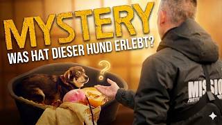 Was Mystery erlebt hat ist unerträglich!