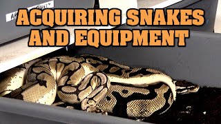 Reptile business series: Animal acquisition, how to choose snakes for your business!