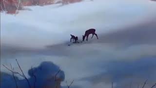 Man theme - Bambi - Music by Frank Churchill & Edward Plumb 