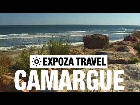 วีดีโอ: 9 กิจกรรมน่าสนใจยอดนิยมใน Camargue, ฝรั่งเศส