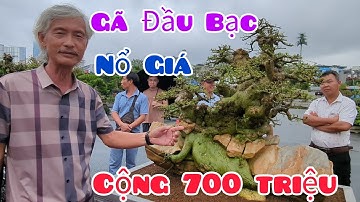 Gã Đầu Bạc nổ giá cộng 700 triệu cây Duối Nhè Đá mới giao dịch ngày hôm qua tại Festival Hà Nội