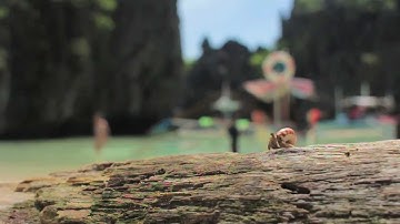 Why Filipinos Should Promote The Philippines: The Spark Project Official Promotional Video