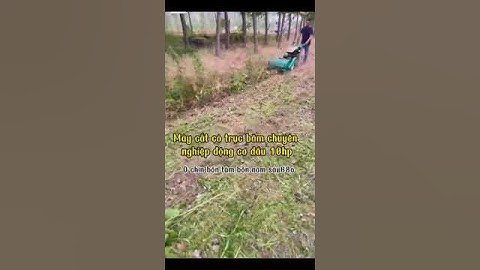 Máy Cắt Cỏ Trục Băm Chuyên Nghiệp Động Cơ Dầu 10hp