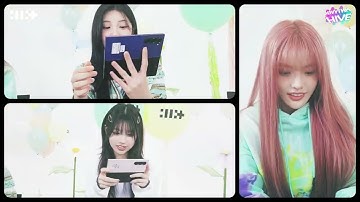 [Rhythm Hive]  ILLIT Catch Live Party Members Wanted!😎