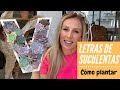 👩🏼‍🌾  Letras de madera con suculentas / mantenimiento