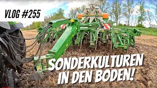 Vlog #255 Die Sonderkulturen kommen in den Boden screenshot 2