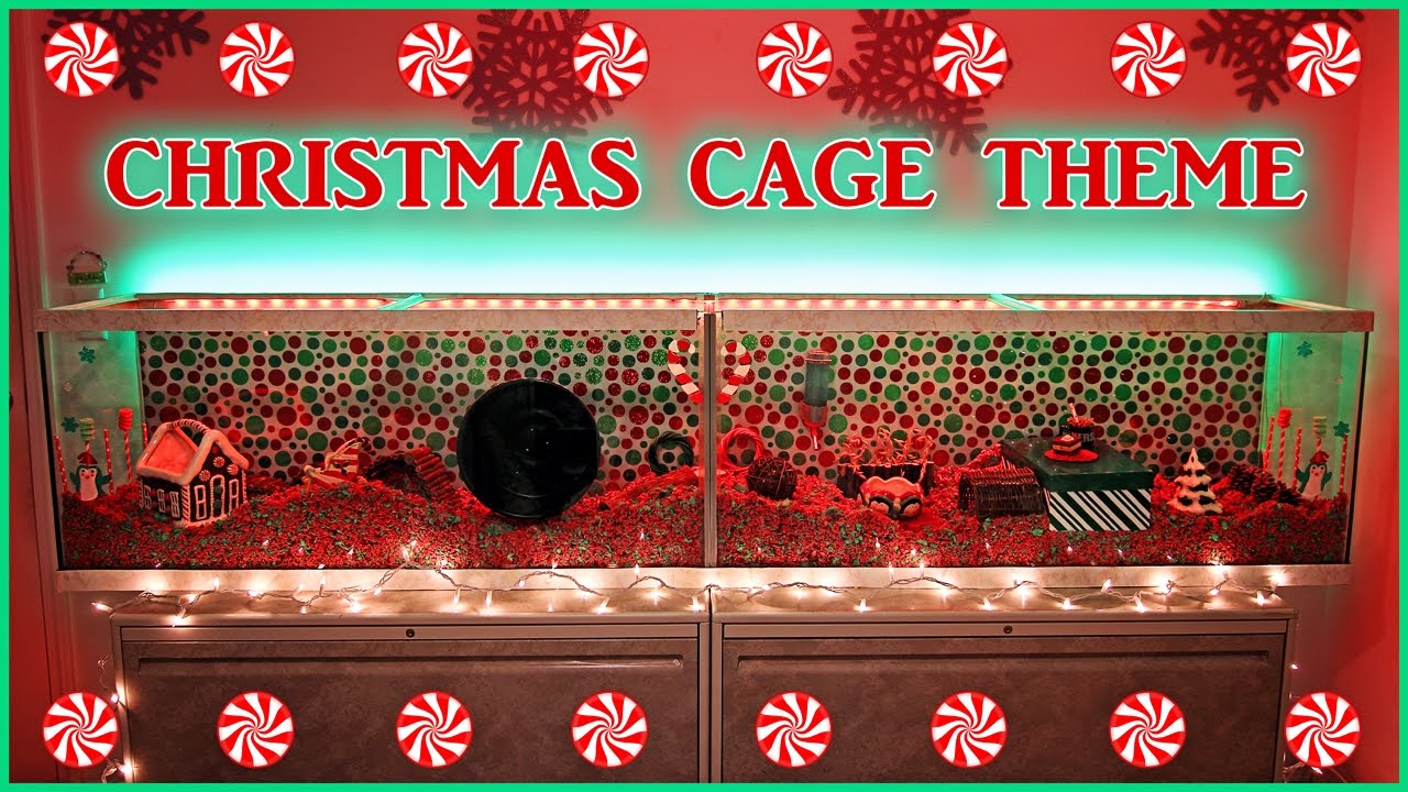 Carob's CHRISTMAS Hamster Cage Theme | 2016 - YouTube