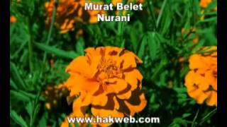 Murat Belet   Nurani Resimi