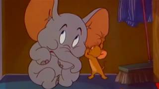 Tom and jerry / cartoons for kids 2018