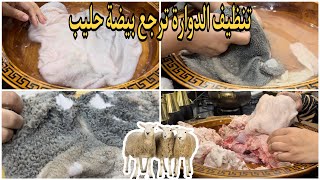 خديجة جكون / طريقة تنظيف الدوارة 🐏 ترجع الكرشة بيضاء 🥹❤️ لي أول مرة تنقي الدوارة تبعي و أدعيلي ❤️