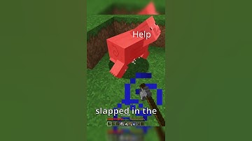 Minecraft, But I Get A Random Potion Effect Every 30 Seconds