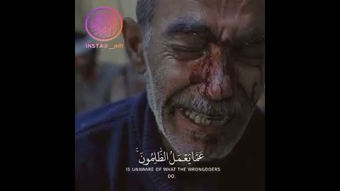 تلاوات خاشعة