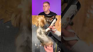 Try Not To Laugh 🤣 1828 #funny #viralvideo #shorts
