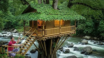 72 Hours Survival Building a Bamboo Treehouse to Survive Wild Animals