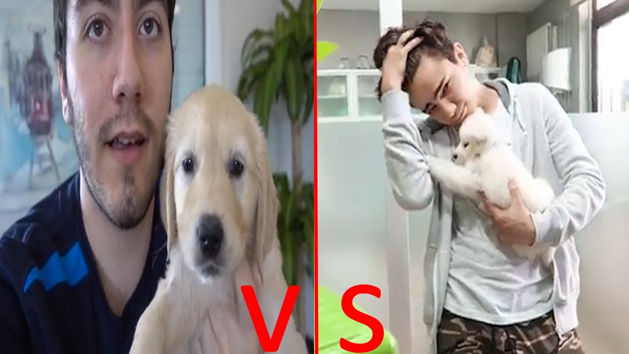 FURKAN YAMANHD ENES BATUR YENİ KÖPEK ÇITIRI VETERİNERE