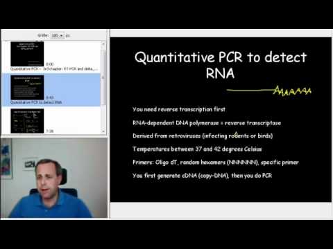 Video: Utilizarea PCR Cuantitativă Ultrasensibilă Pentru A Evalua Impactul Primaquinei Asupra Recidivei Asimptomatice A Infecțiilor Cu Plasmodium Vivax: Un Studiu Randomizat, Controlat în