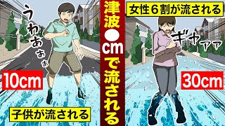 人は〇cmの津波でも流される!津波が起きるメカニズムと高さ別の危険性