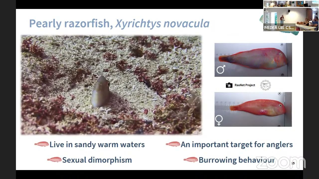 Chronotypes-Personality behavioural syndromes in wild marine fish, Martina Martorell