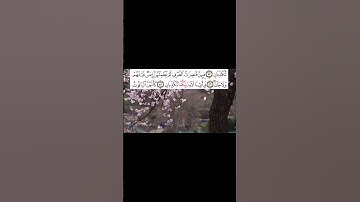 #قرآن_كريم #سورة_الرحمن  #قرآن #shortvideo #تلاوة_خاشعة #سورة_المسد #اكسبلور