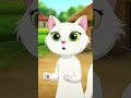 #बिल्ली की कहानी #videos #youtuber #youtubeshort #trending #viralvideo #cat #youtubevideo