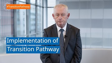 Luc Triangle from IndustriAll Europe: implementation of the transition pathway