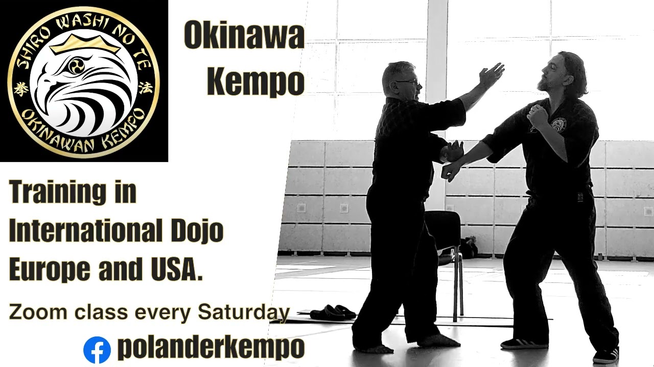 Okinawan Kempo methods of using the 'Knife Hand' motion (Shuto-Uke)