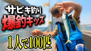 【釣り】北九州おすすめの釣りスポットでサビキ釣りしたら、釣れすぎました...【脇田海釣り桟橋】