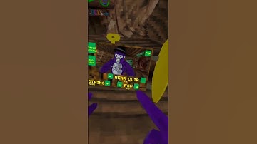I got the Yizzi camera mod! #gorillatag