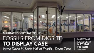 Narrated Virtual Tour: David H. Koch Hall of Fossils – Deep Time – Fossils from Dig to Display Case