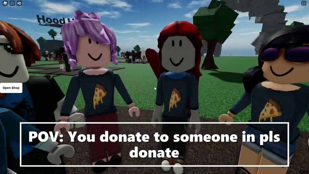 POV: you donate someone 10 robux in pls donate : r/roblox