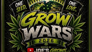 2026 Grow Wars update / Garden update with low stress training 