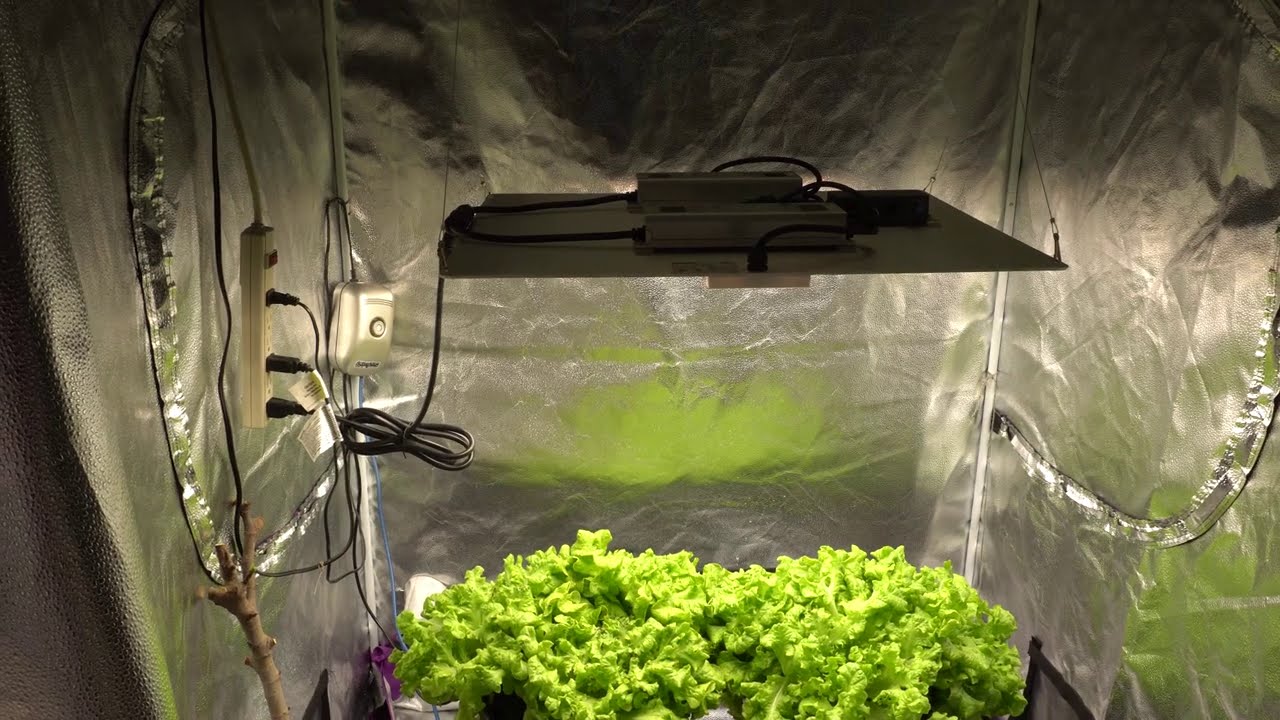 Tour of My Indoor Grow Rooms - YouTube