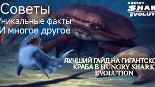 картинка: Hungry Shark Evolution: полноценный и лучший гайд на гигантского краба