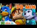 Patrulha Canina 30 Minutos Das Melhores Missões Da Patrulha Canina Nick Jr Em Português 