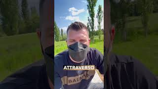 In questo short vi ho spiegato quali sono stati i miei studi e le mie aree di competenza!