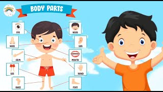 Body Parts - Learn Body Parts Song Head, Shoulders, Knees Toes Name Of Body Parts Body Part
