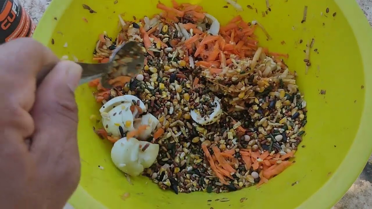 ALIMENTO DE CUIDO, NUEVA FÓRMULA con productos Maver, VITAMINAS+PROTEINA y CUFER