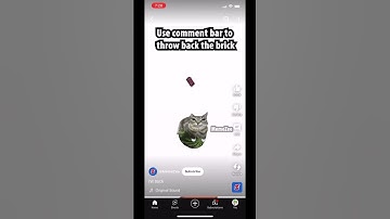 NOOOOO!!!#brick #update