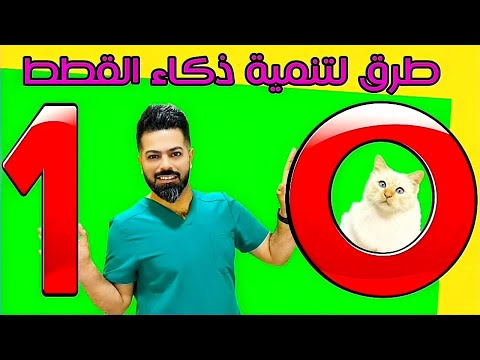 فيديو: 5 طرق لشكر الطبيب البيطري