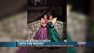 Hometown Entertainment: Things to Do This Weekend in the Roanoke Valley