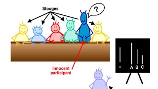 The Asch Experiment (Will You Go Along To Get Along)