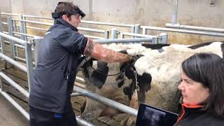Breeding & Fertility Series - Breeding Planning