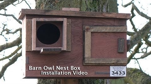 Barn Owl Nest Box Instruction Video 2013