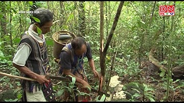Nâng cao hiệu lực, hiệu quả công tác quản lý Nhà nước đối với công tác tôn giáo, dân tộc