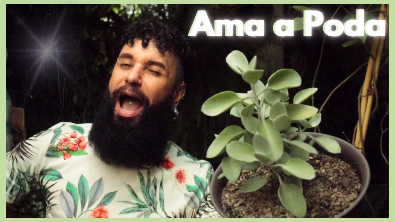 SUCULENTA COLHER DE PRATA - Todas as DICAS DE CULTIVO, FIZ MUDA e CUIDEI de uma CHEIA DE PRAGAS!!!
