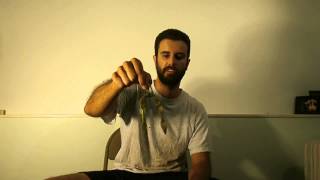 The Kamikaze Worm